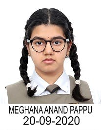 meghna anand pappu